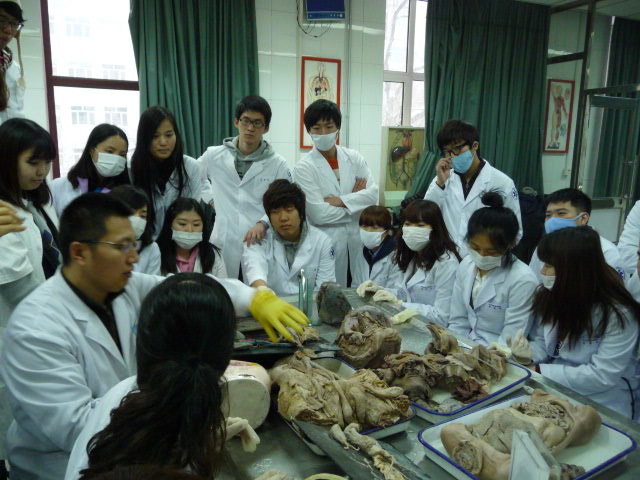 873932756_82135a9e_P1130562.JPG